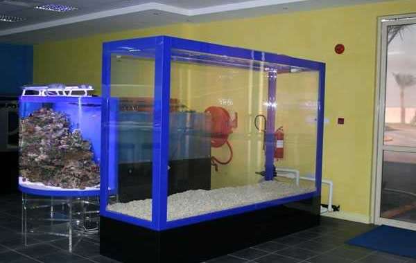 The steps outlined in the following section will guide you through the process of protecting your acrylic fish tank from