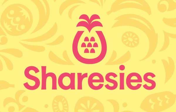 How to Use Sharesies NZ