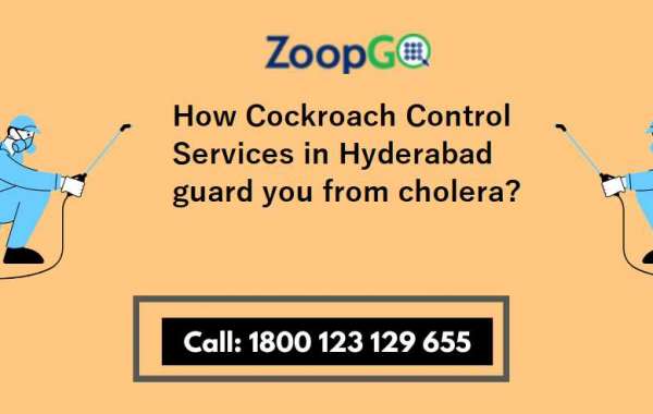 How Cockroach Control Services in Hyderabad guard you from cholera?
